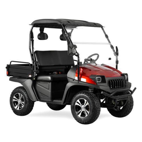 Jeep Style 5KW Electric Golf Cart with EEC